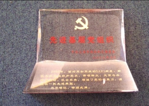 先进基层党组织（2003）