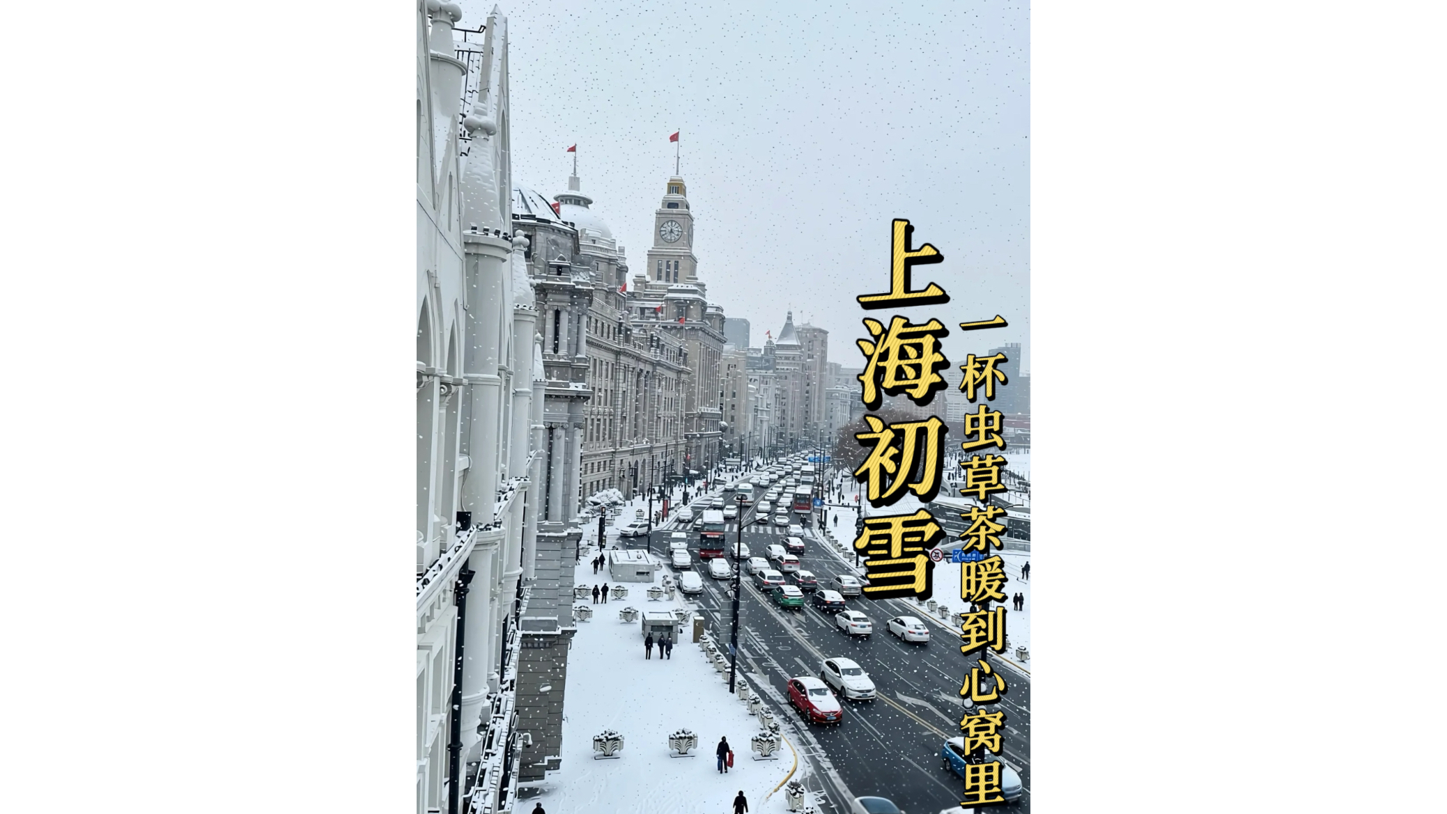 上海初雪,一杯虫草茶暖到心窝里!